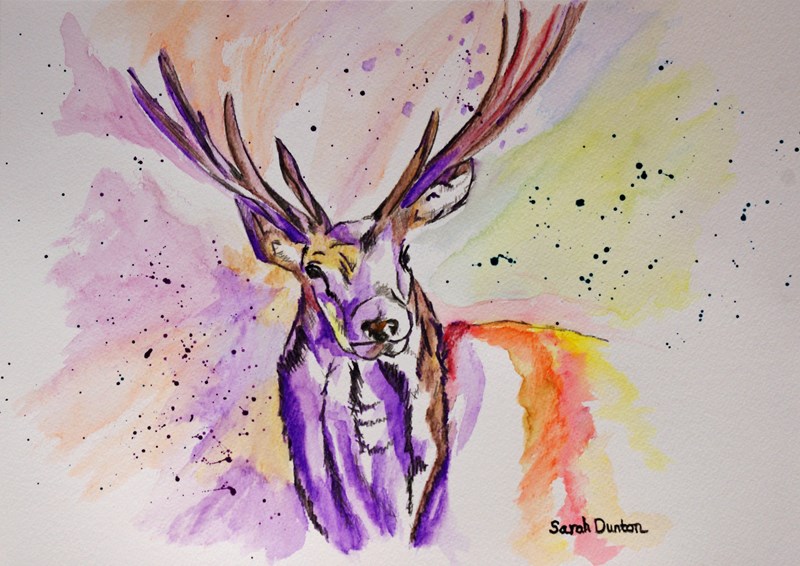 Watercolour Stag
