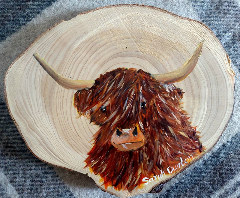 Original Painted Highland Coo Plaque