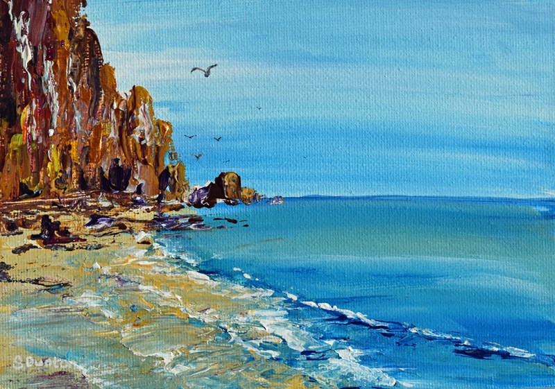 Coastal Wanderings (Exploring Rosemarkie Beach and Caves)