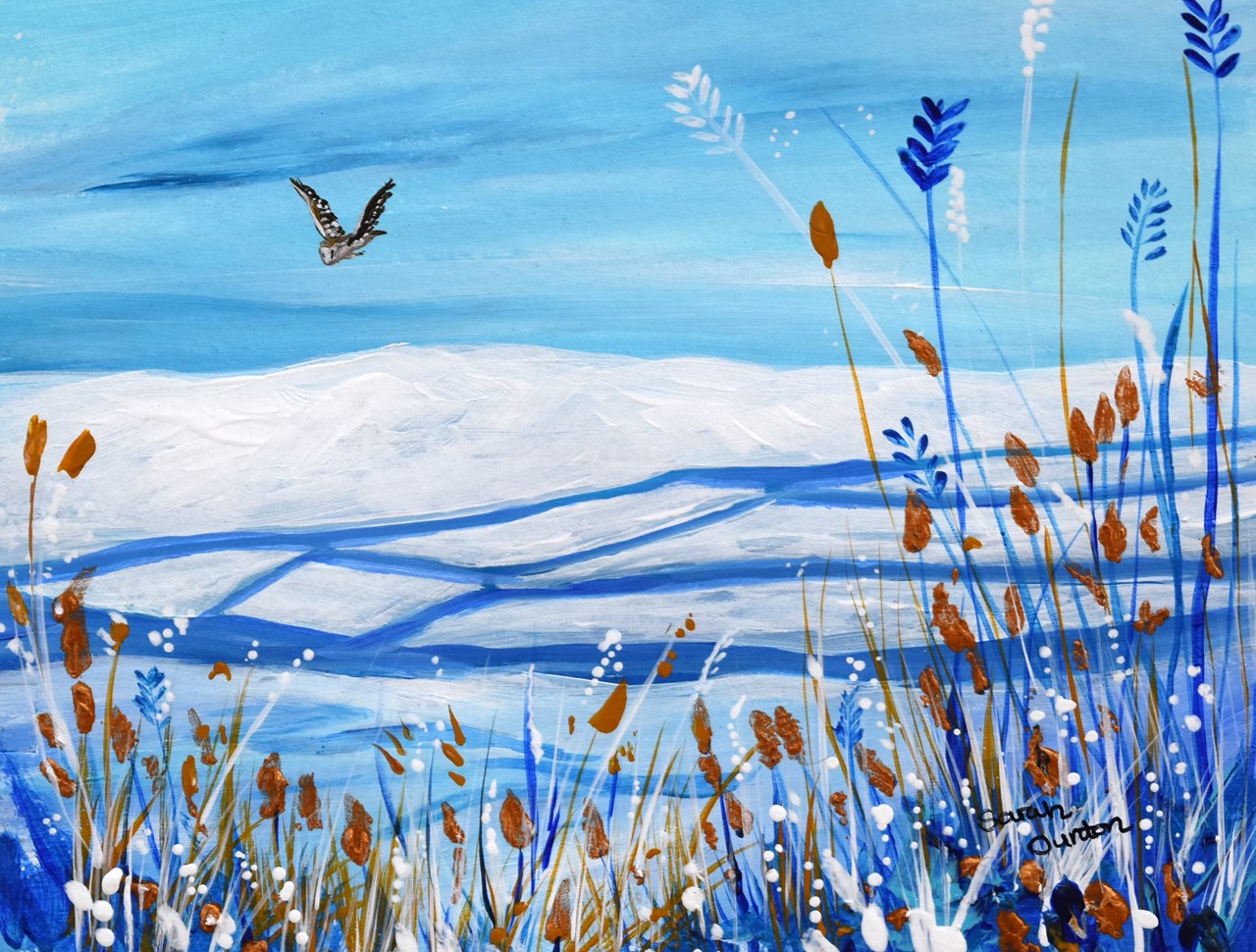 Owl Over Winter Fields