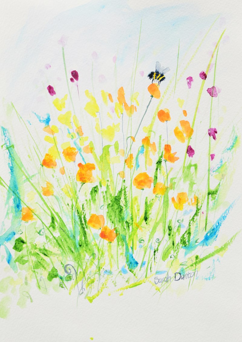 SALE - Welsh Poppies