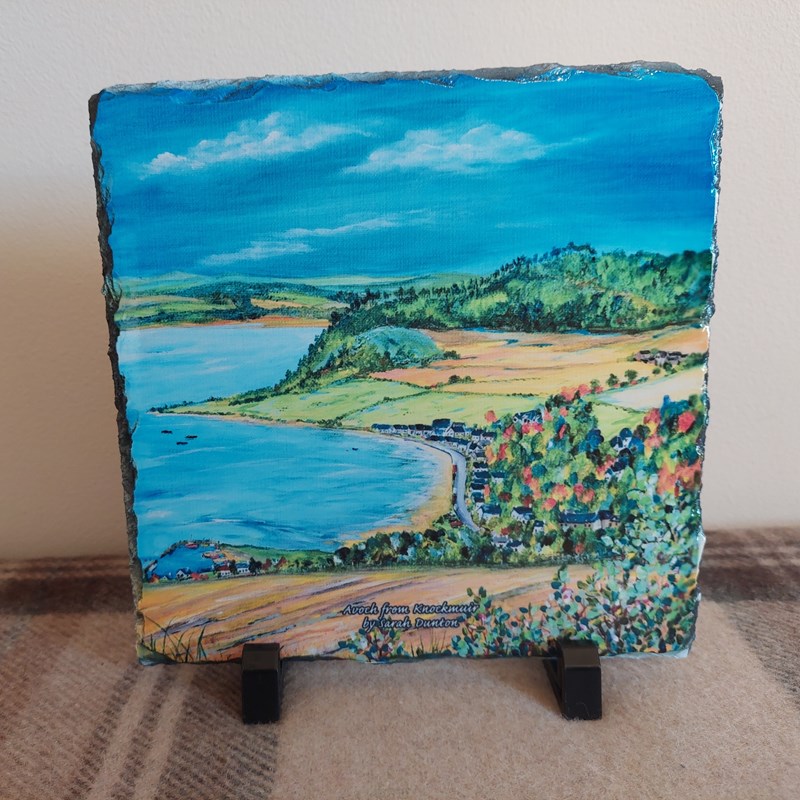 Avoch Bay from Knockmuir