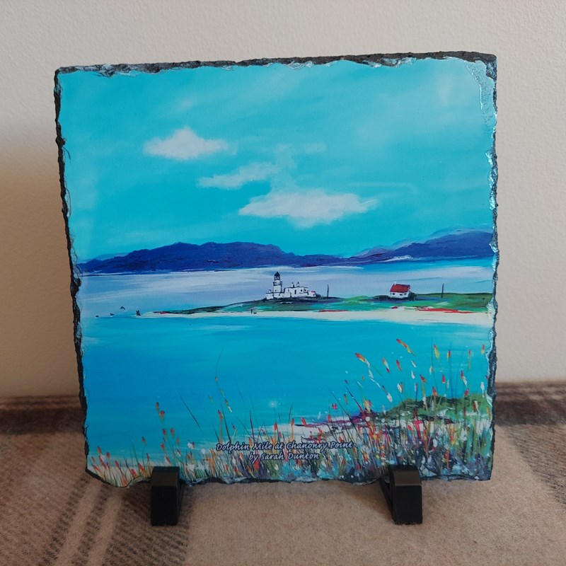 Dolphin Mile - Chanonry Point