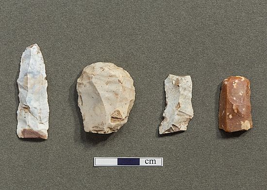 A disc scraper, an end scraper and two flakes, all made of flint
