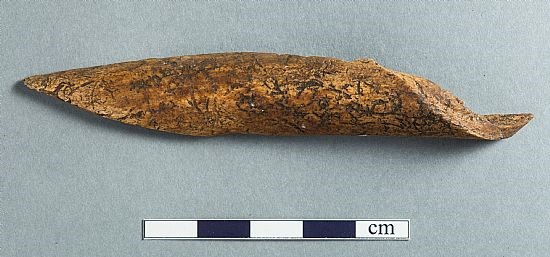 Split leg bone of a sheep or deer, the point ends possibly used for boring or piercing