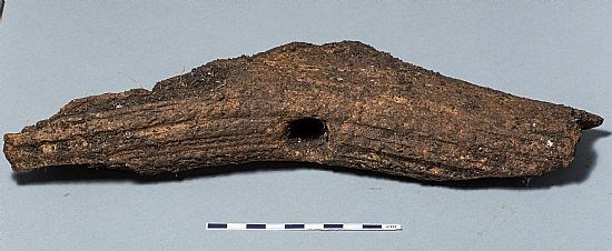 A well preserved antler T-axe, before conservation