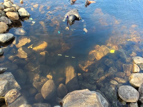 Digging the Loch Achilty Crannog in September 25