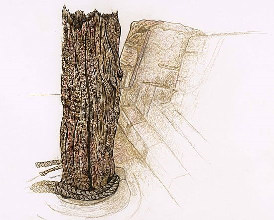 Greenheart timber post