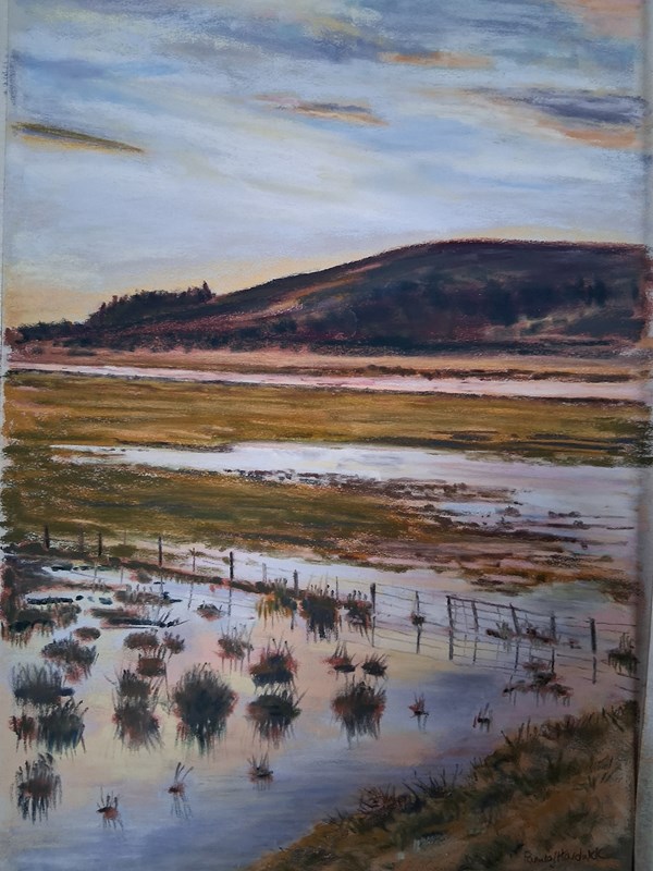Pam Hardwick