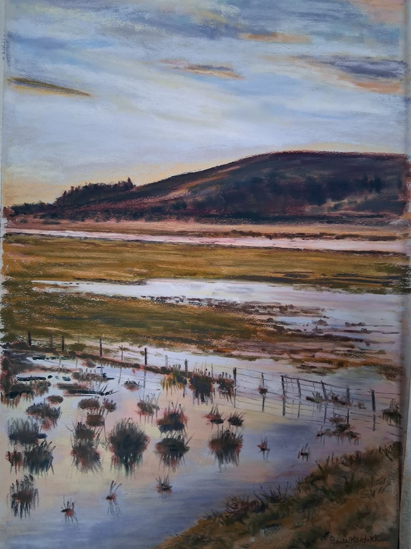 Pam Hardwick