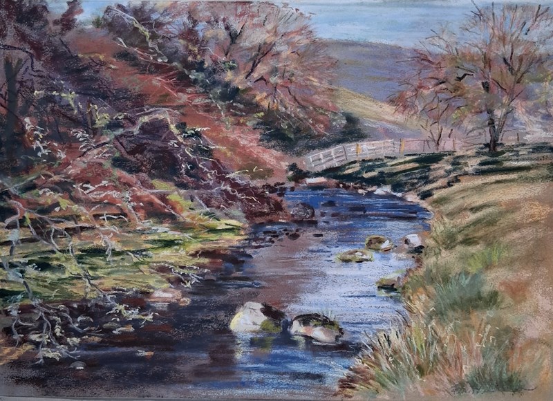 Pam Hardwick