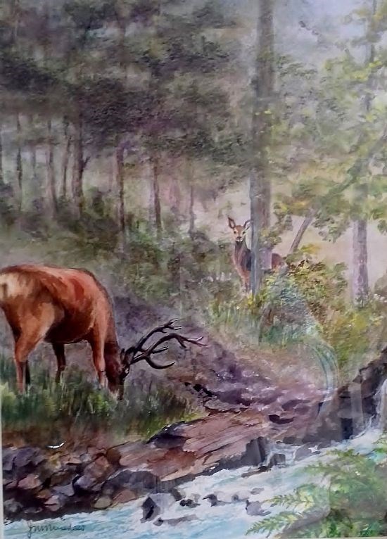 Janet Munslow