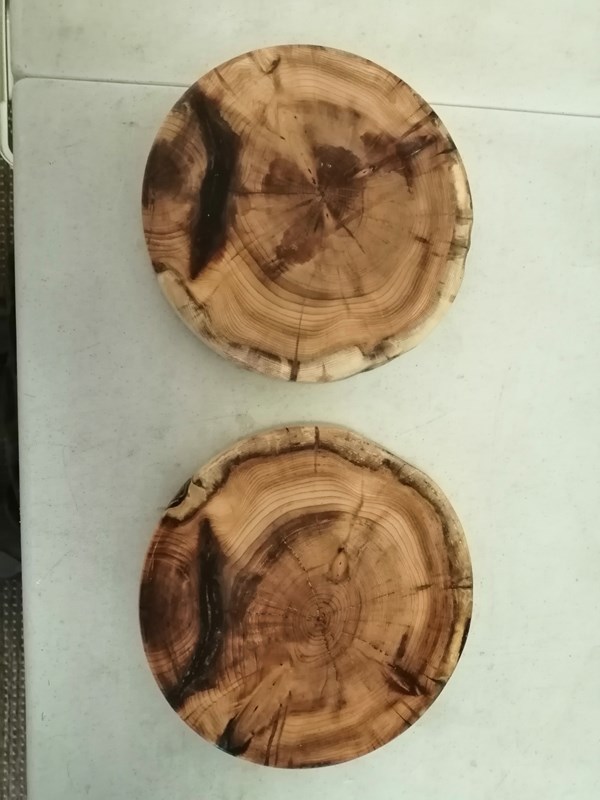 #792-793-Yew Plates