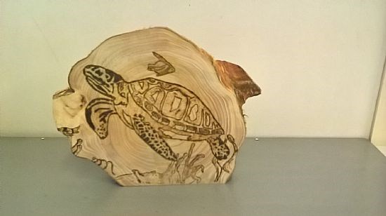 #184. Turtle Plaque