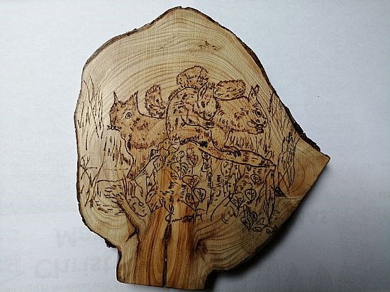 Leylandii Plaque. #364