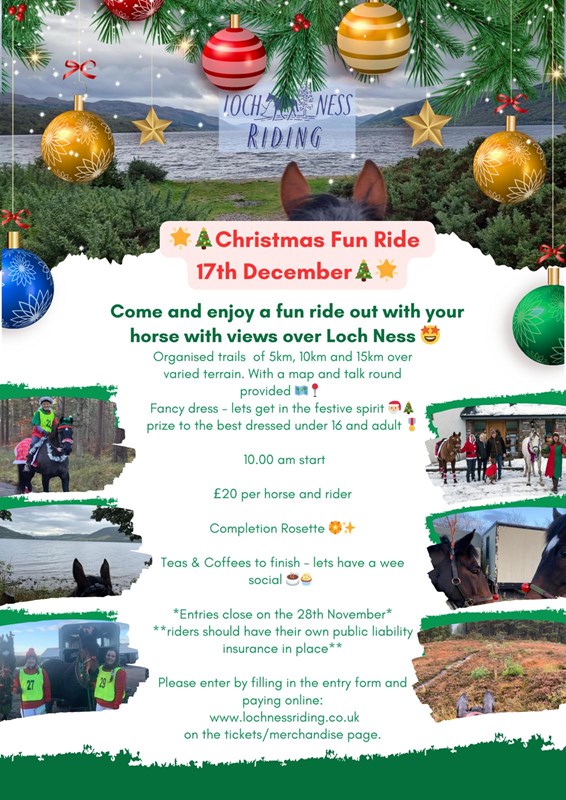 Christmas fun ride
