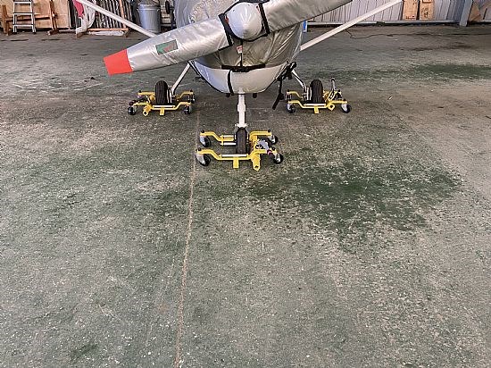 Jabiru