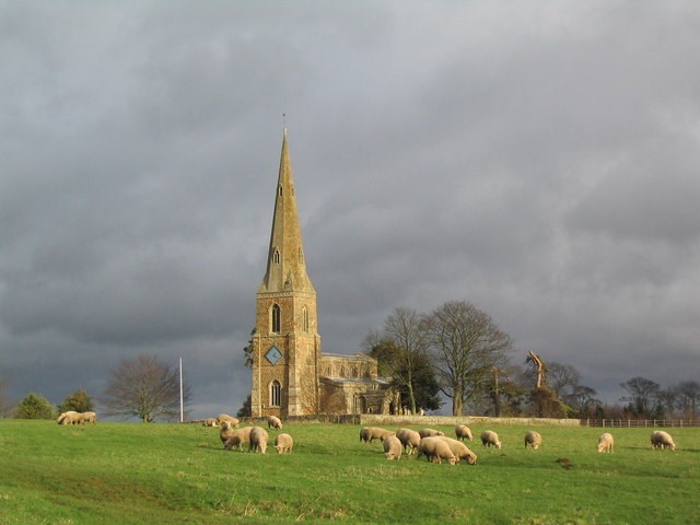Church with tall spire in front of a field of grazing sheep. 
