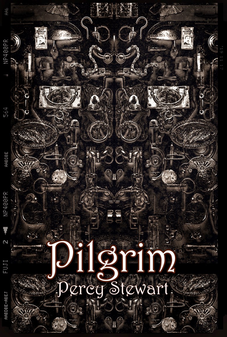 Pilgrim, new novel by Percy Stewart 