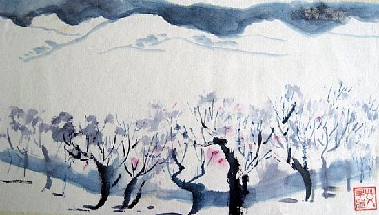 Winter Blossom