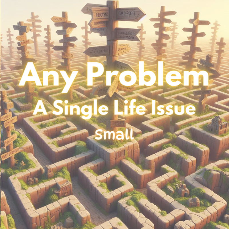 Email Reading: One Issue: Small