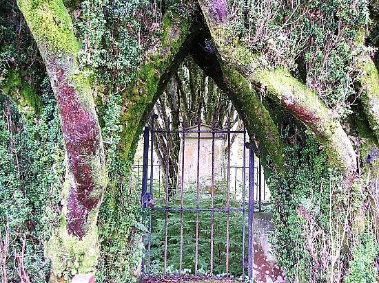 Lairds Grave