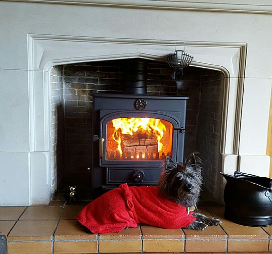 Hamish in front of a friends wood burning stove, getting into practice for the new installation at Dolphin View Cottae