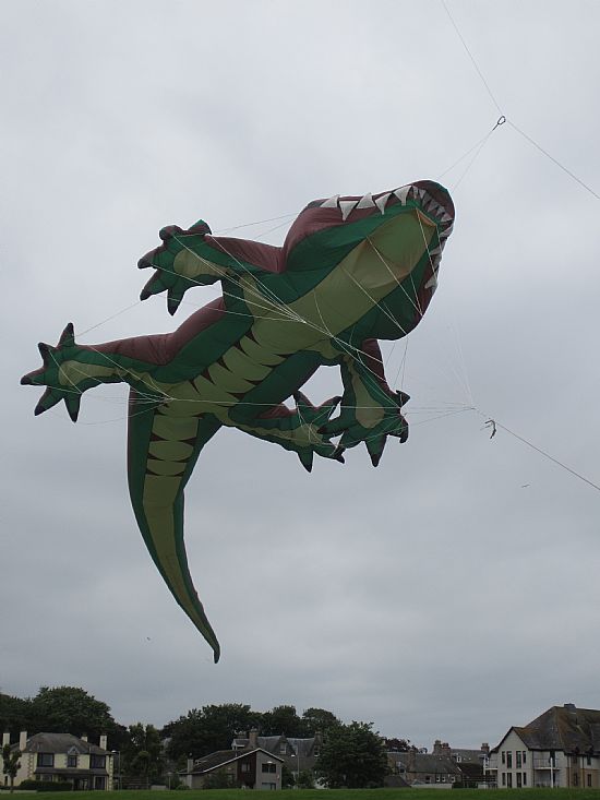 Crocodile kite flying over Nairn