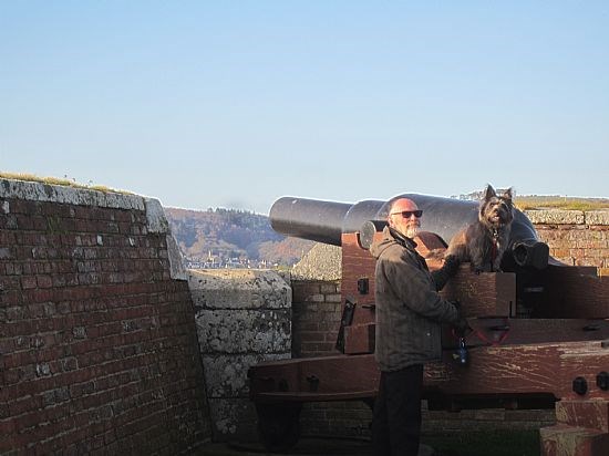 Many dog-friendly places to visit within easy distance