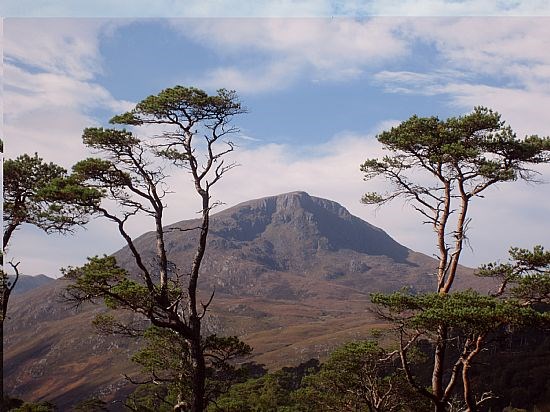 In Autumn visit Glen Affric