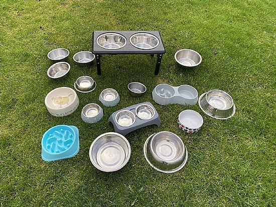 Tell me which bowls are best for your dogs
