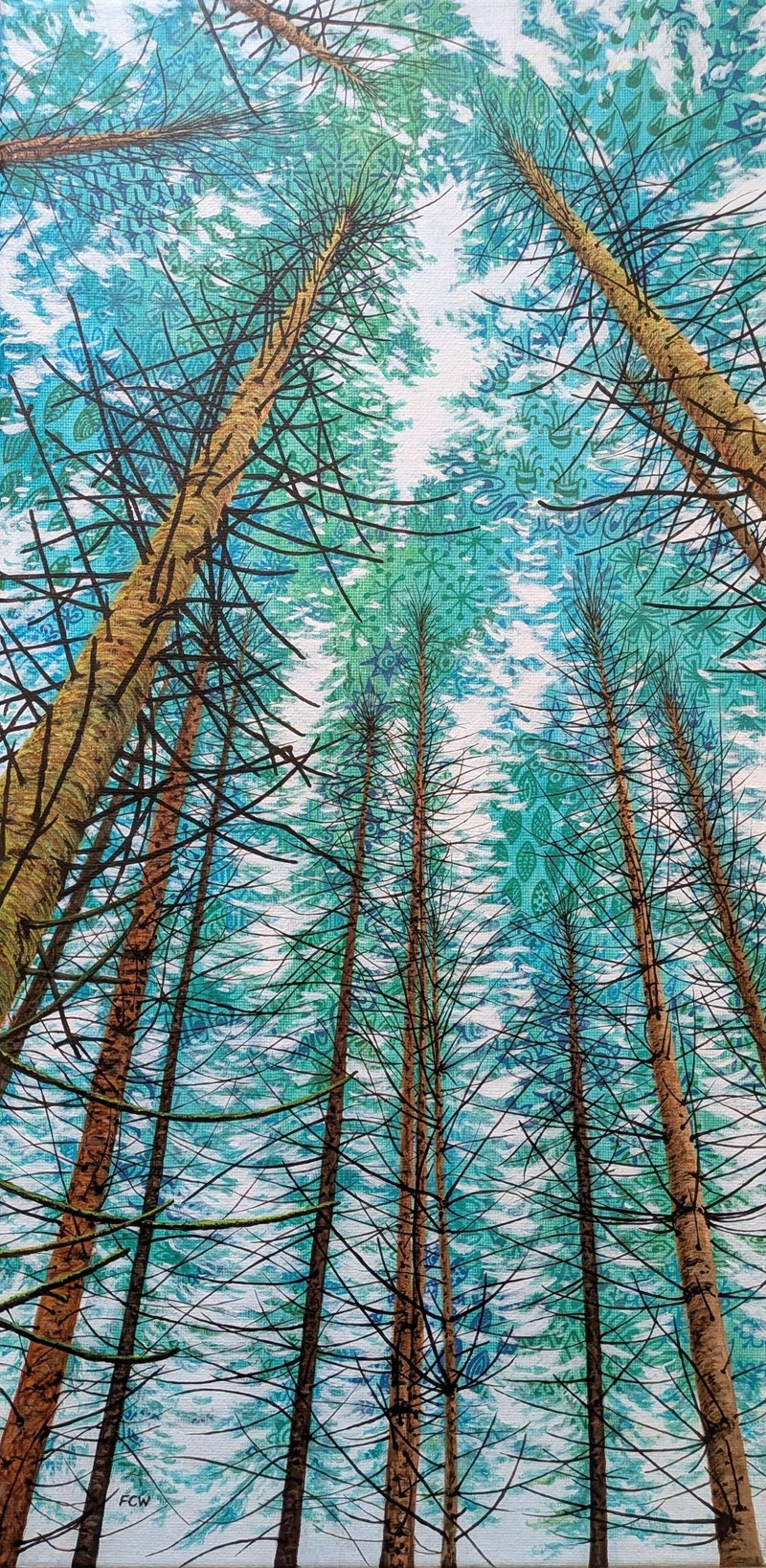 Forest Sky