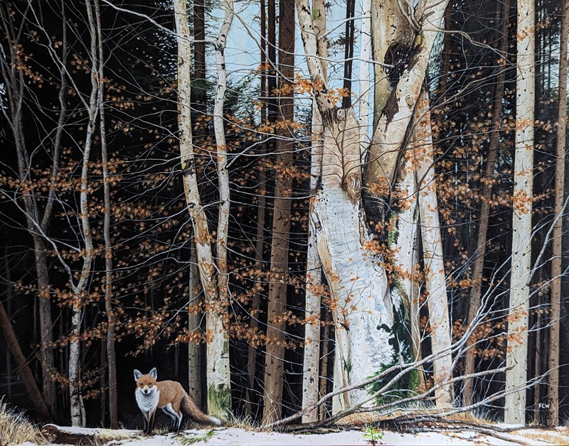 Fox in Winter Woods