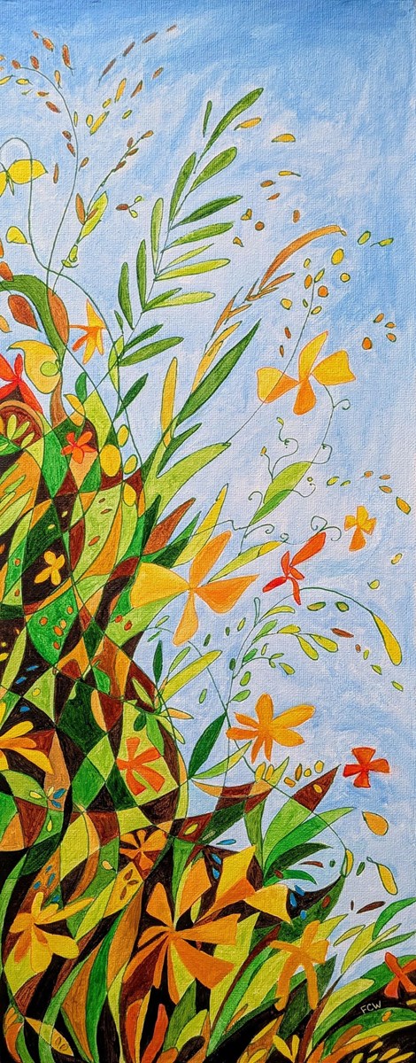 Wildflower Meadow