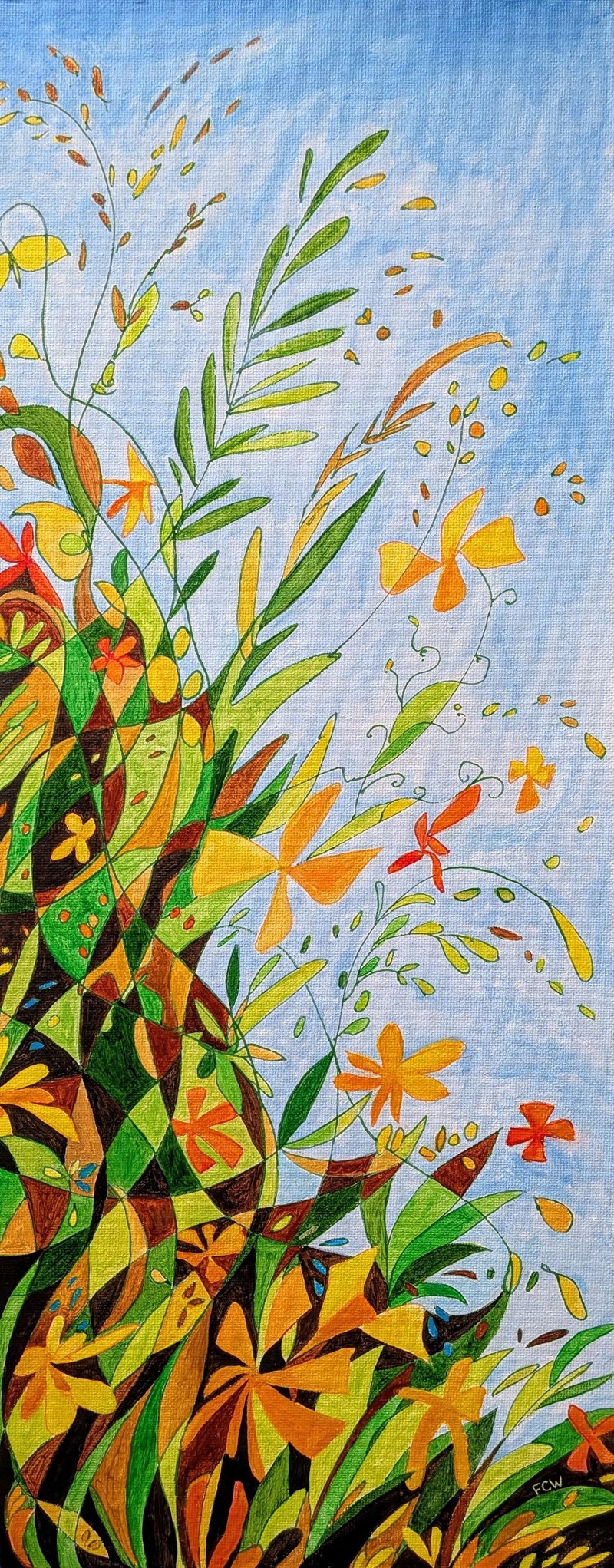 Wildflower Meadow