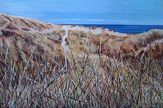 Aberdeen Beach Dunes