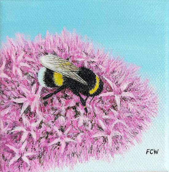 Bee in the Pink