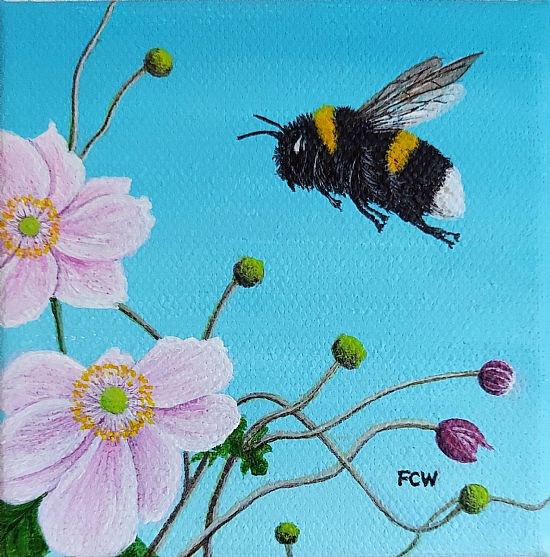 Bumblebee in Japanese Anemones