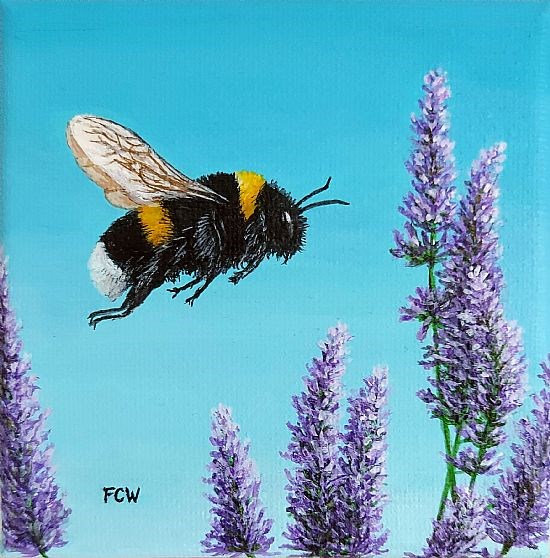 Bumblebee in Lavender