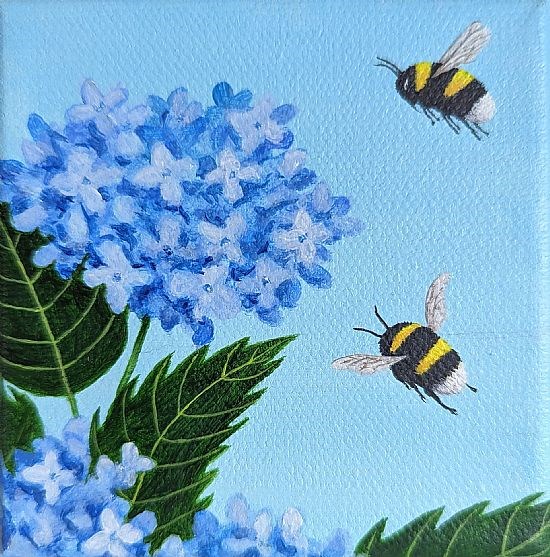 Bumblebees and Blue Hydrangea,