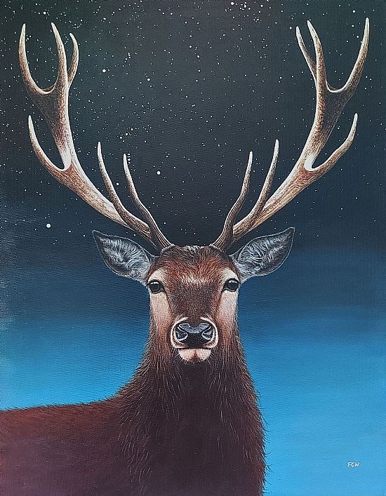 Constellation Stag