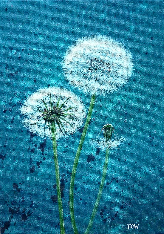 Dandelions