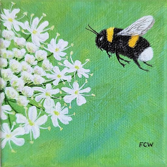 Hogweed and Bumblebee