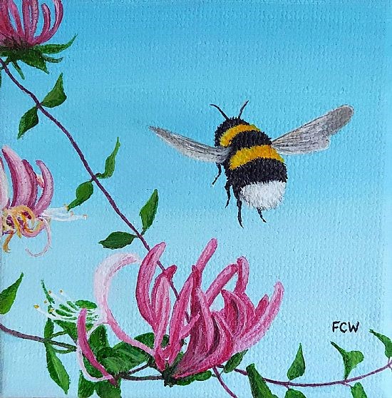 Honeysuckle Bumblebee