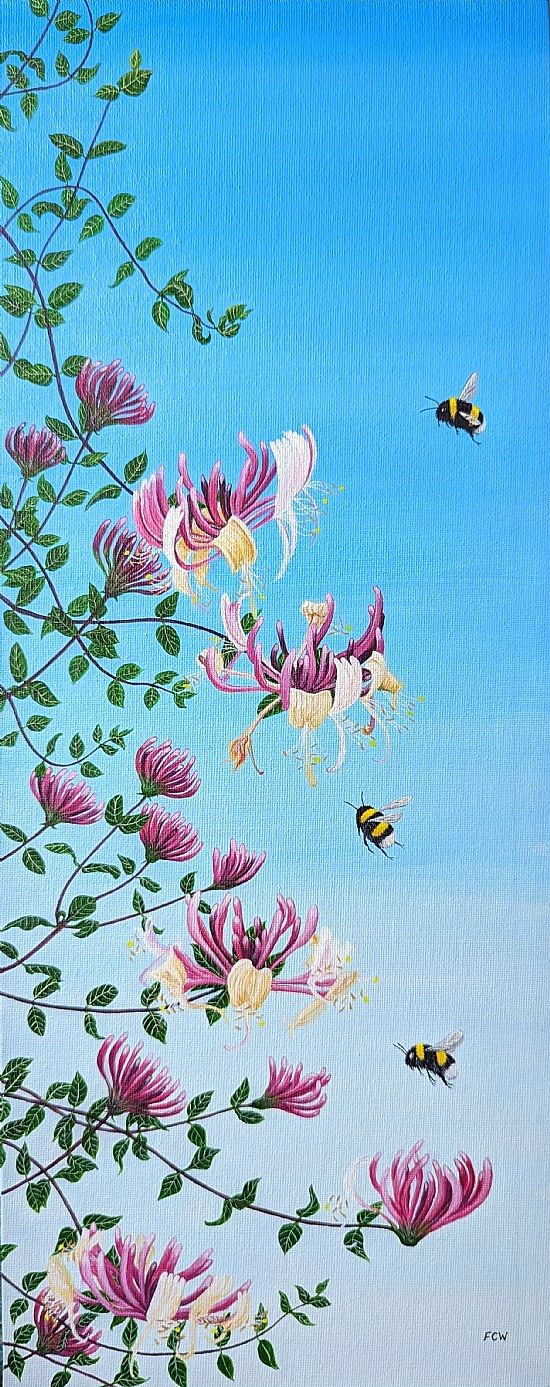 Honeysuckle Bumblebees