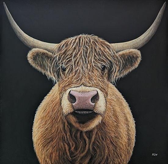Hamish Highland Cow