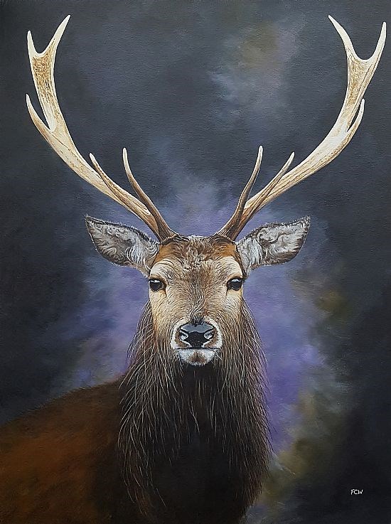 Red Deer Stag