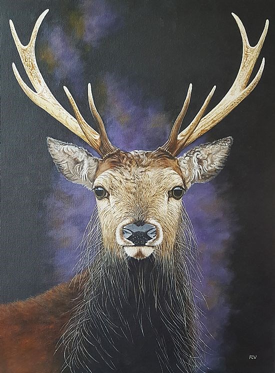 Stag After the Storm