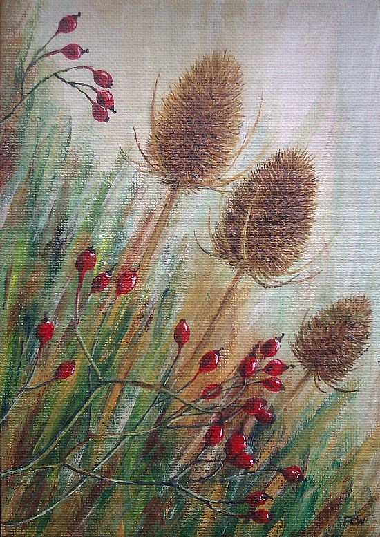 Teasels and Rosehips