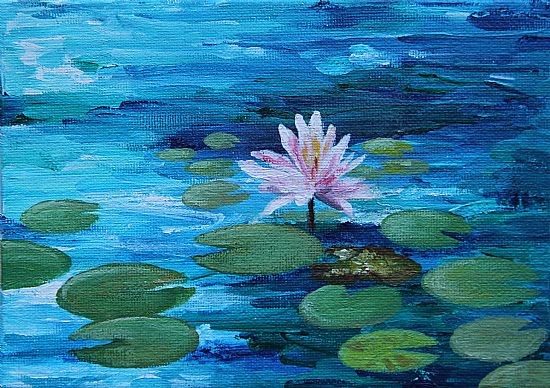 Waterlily